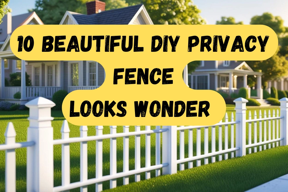 best diy privacy fence ideas
