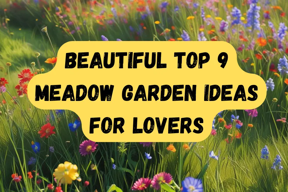 best-Meadow-Garden-Ideas