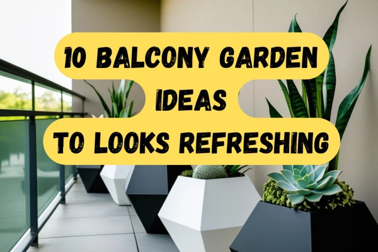 Balcony Garden Ideas