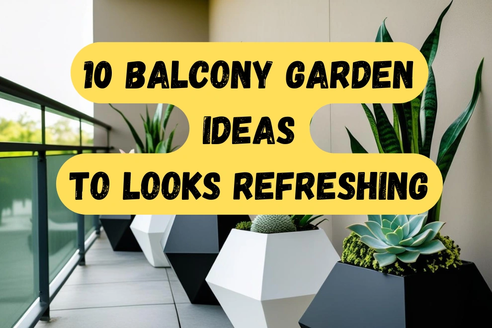 Balcony Garden Ideas