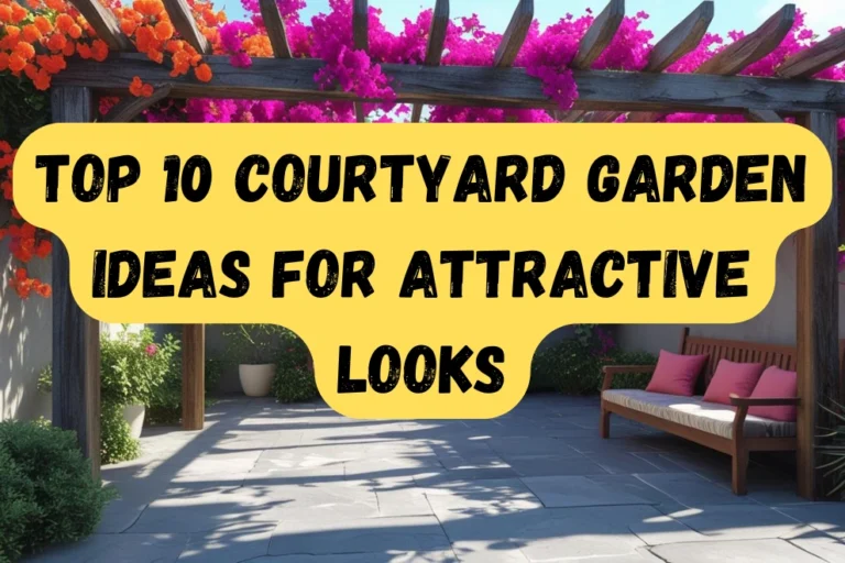 courtyard garden ideas
