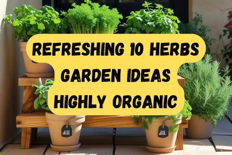 best-herbs-garden-ideas