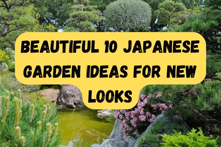 best Japanese garden ideas