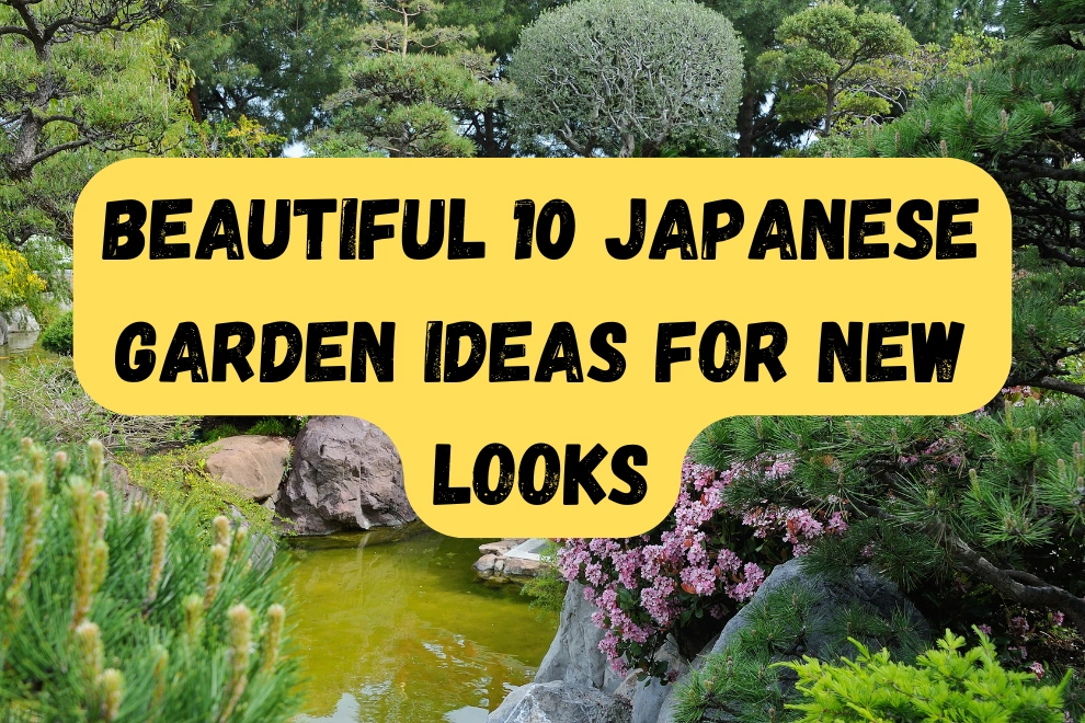 best Japanese garden ideas